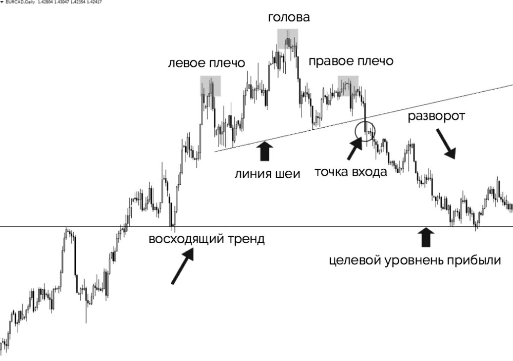 Паттерн «Голова и плечи» в трейдинге: полное руководство по разворотной формации